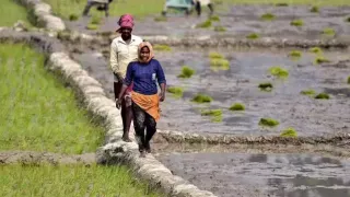 PM KISAN Update: 22nd Installment Delayed Due To Registration Issues? Here's How to Fix It
