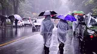 Delhi Gets Rain Relief, Strong Winds Cool Capital; What’s Weather Outlook For Coming Days?