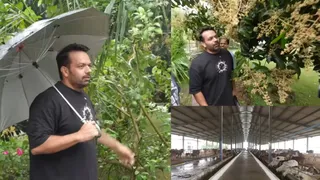 Inside Flying Beast Gaurav Taneja's Rs 10 Crore Eco-Friendly Farmhouse With 200 Cows, Mango Orchards And Organic Living