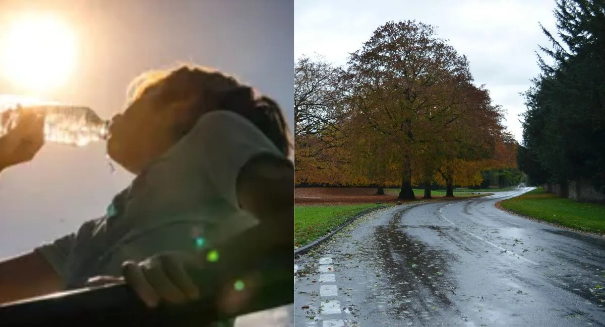 Tamil Nadu Weather: IMD Issues Heat Alert As Temperatures Cross 40°C, Light Rain Likely In South | Forecast