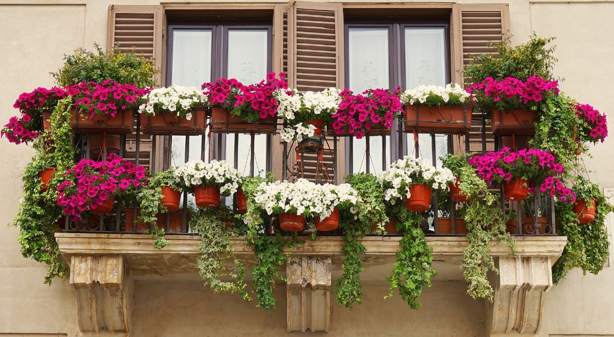 Vertical Herb Garden Wall
