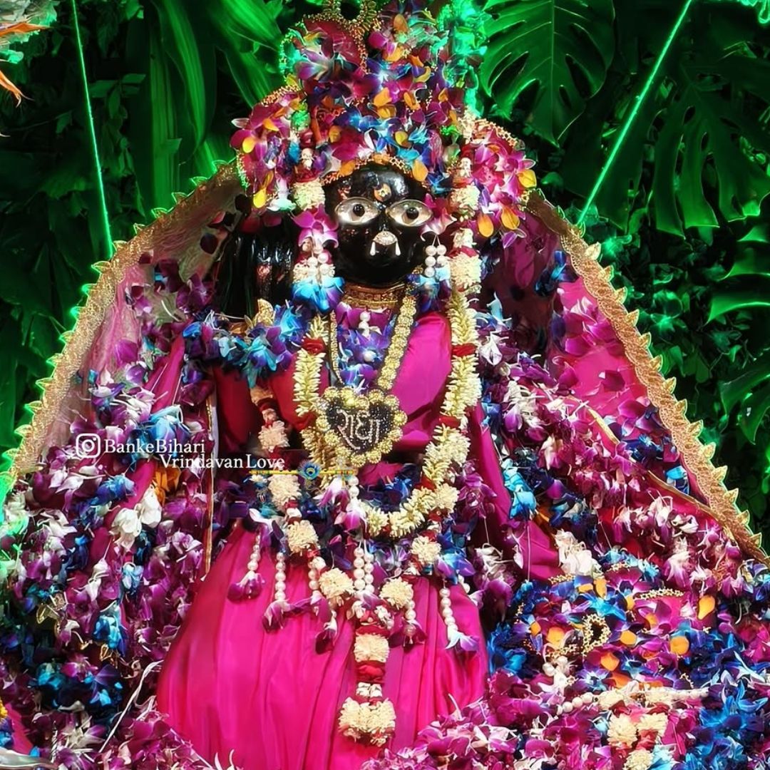 banke-bihari-charan-darshan-2026