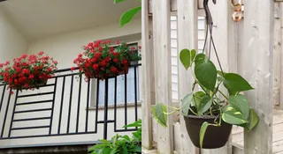4 Vertical Balcony Plant Decor Ideas For Small Spaces