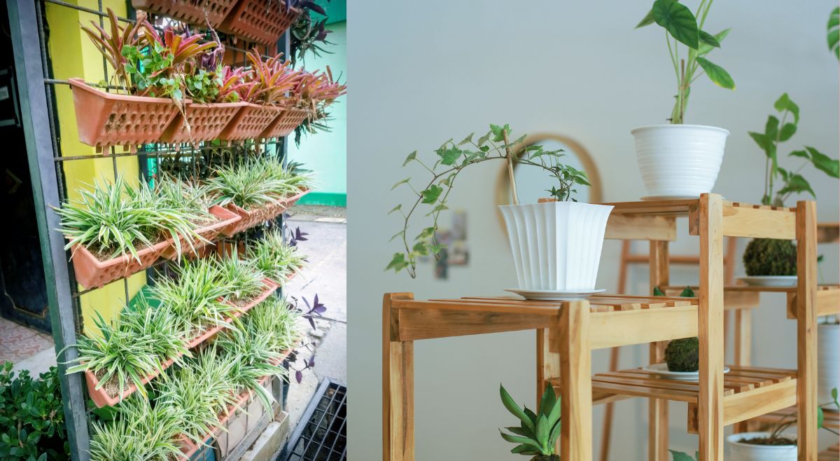 Vertical Plant Stands