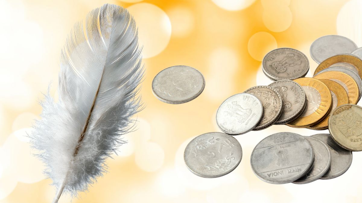 meaning-of-finding-coins-and-feathers-meaning