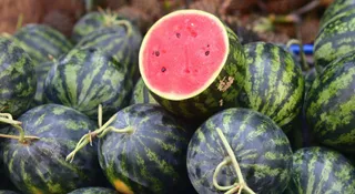 Don’t Eat These Foods With Watermelon: It Could Ruin Your Digestion
