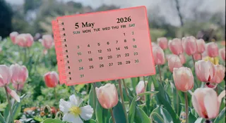 May 2026 Calendar: All Festivals, National And International Days At Glance