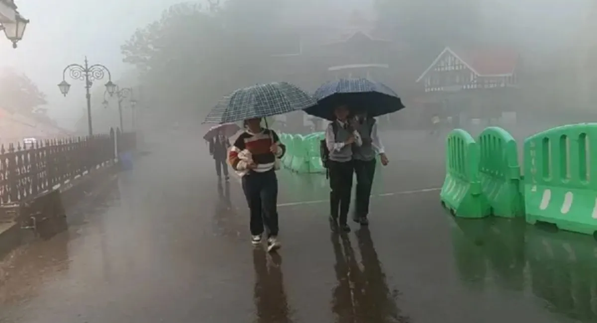 Himachal Weather: Rain, Hailstorms Damage Apple Crop; IMD Issues Rain Alert For Key Districts | Check Forecast
