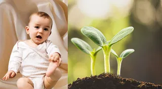 8 Baby Names Inspired By Growth And Their Meanings For 2026
