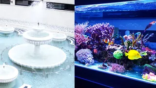 7 Lesser-Known Pros And Cons Of Indoor Fountains And Fish Aquariums As Per Vastu