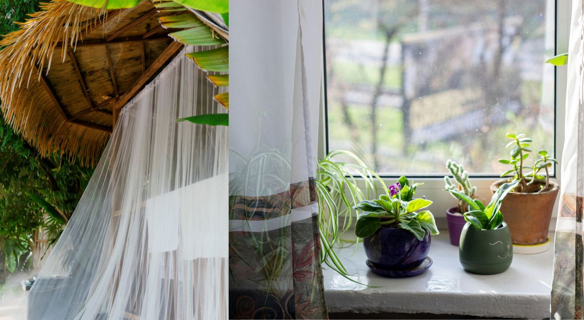 sheer curtains and plants