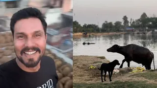 Randeep Hooda Shares ‘Gaam’ Diaries, Shows His Simple And Calm Village Life; Photos And Videos Go Viral