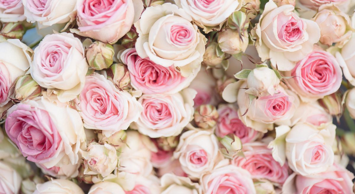 flower decoration