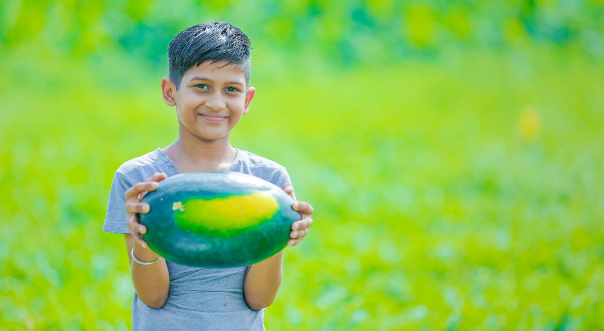 Yellow patch on real watermelon