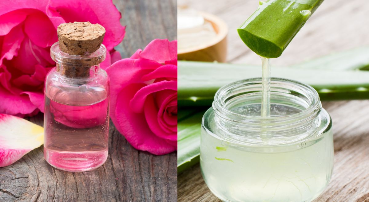 Aloe Vera Gel With Rose Water face pack