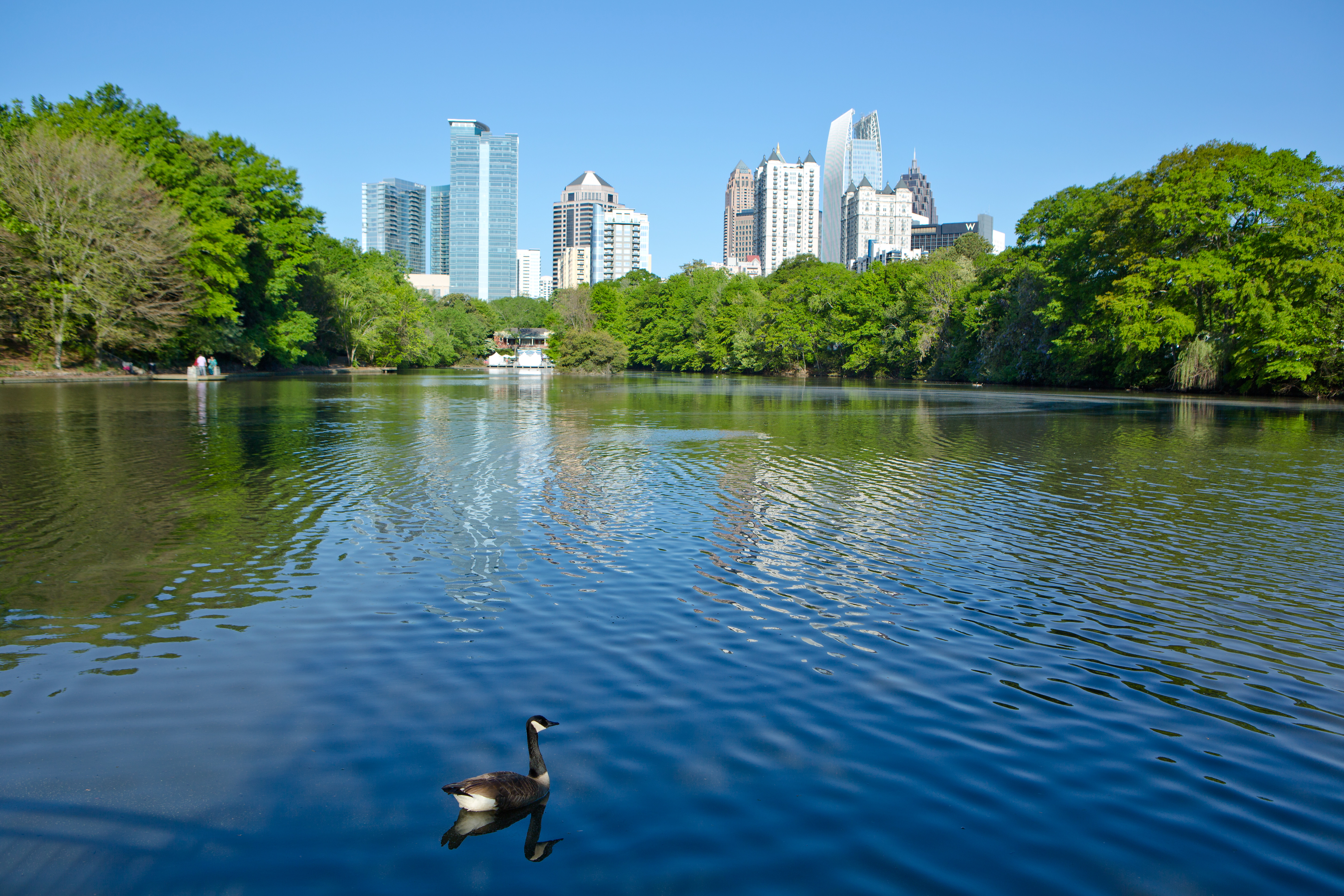 Piedmont Park