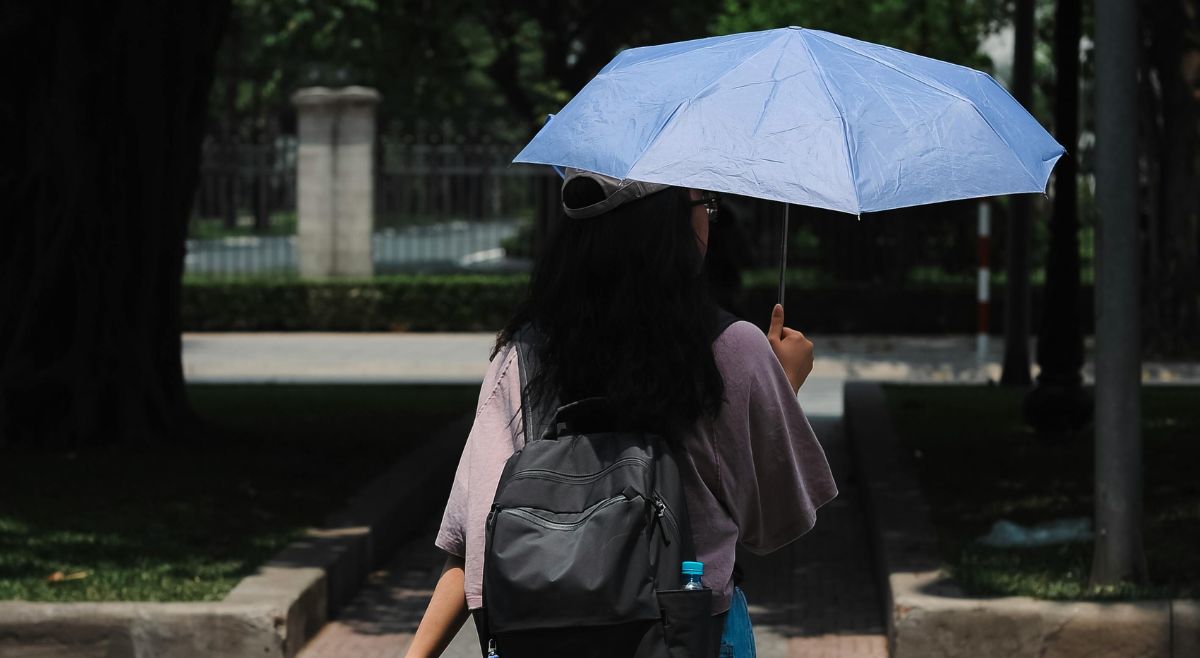 Shades And Umbrella