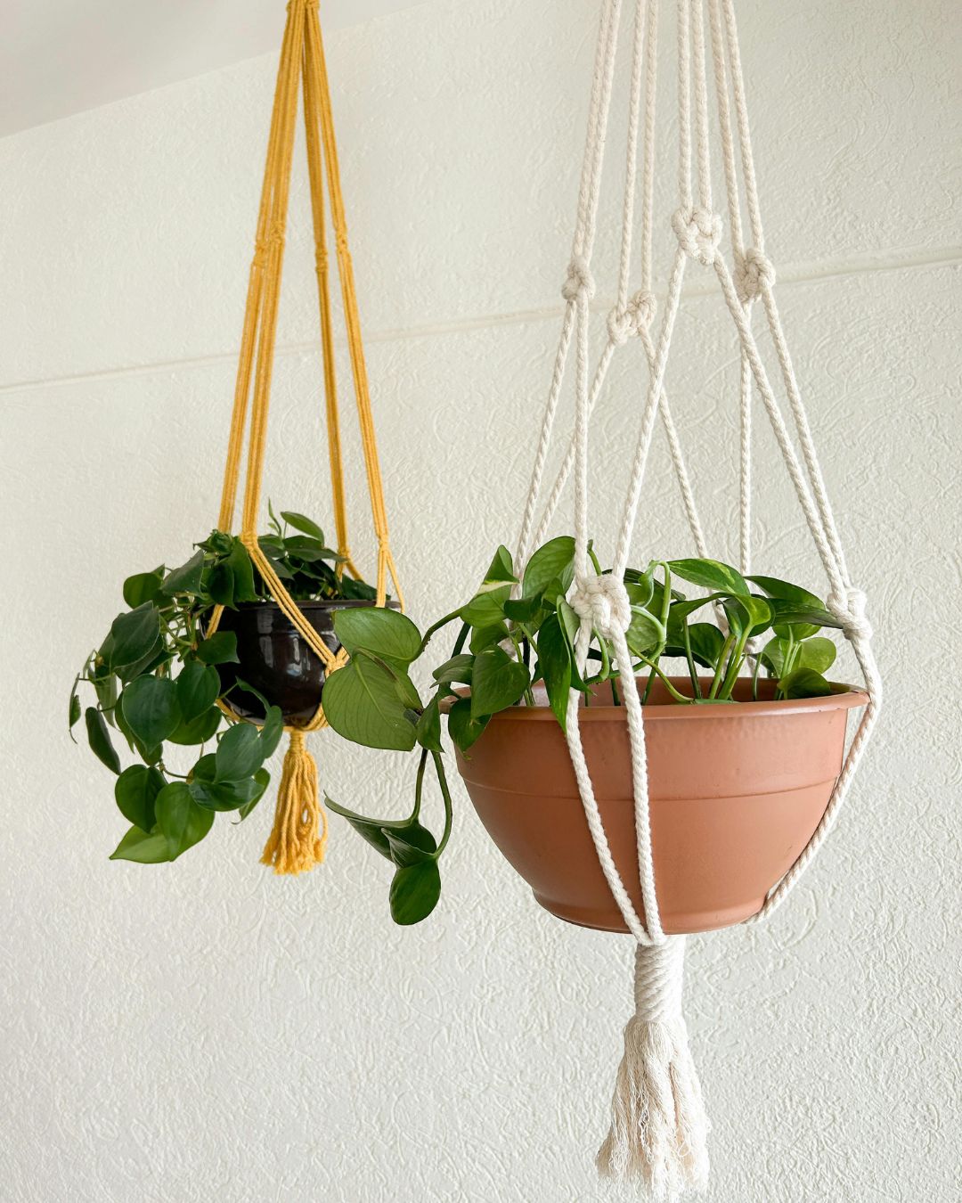 Hanging Plants And Jute Aesthetic
