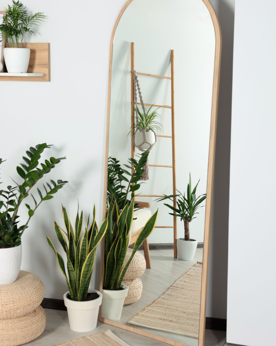 Mirror And Plant Aesthetic