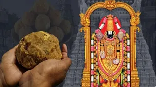 Tirupati Laddu Case: ED Raids In Several States, Detects Rs 45 Cr Properties Linked To Adulterated Ghree Supplied To TTD