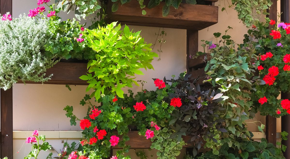 Vertical Shelves balcony