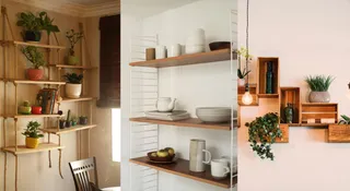 4 Shelf-Based Plant Decoration Ideas To Amp Up Your Balcony Decor
