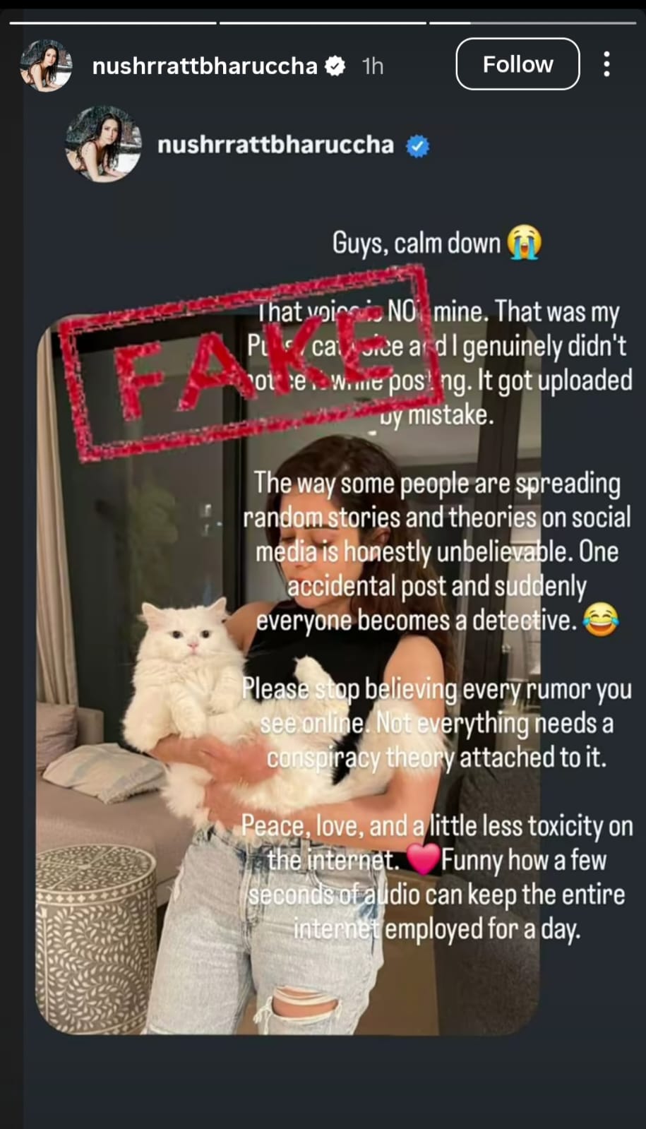 nushrratt bharuccha clarifies viral ipl 2026 final instagram story (3)