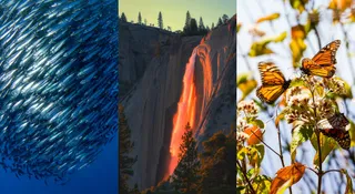 6 Rare Natural Events That Happen Once A Year