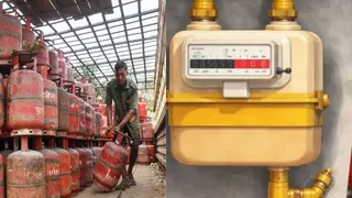 Govt Plans Nationwide Push To Shift Households To PNG, Urges LPG Surrender: Who Will Get Notice?