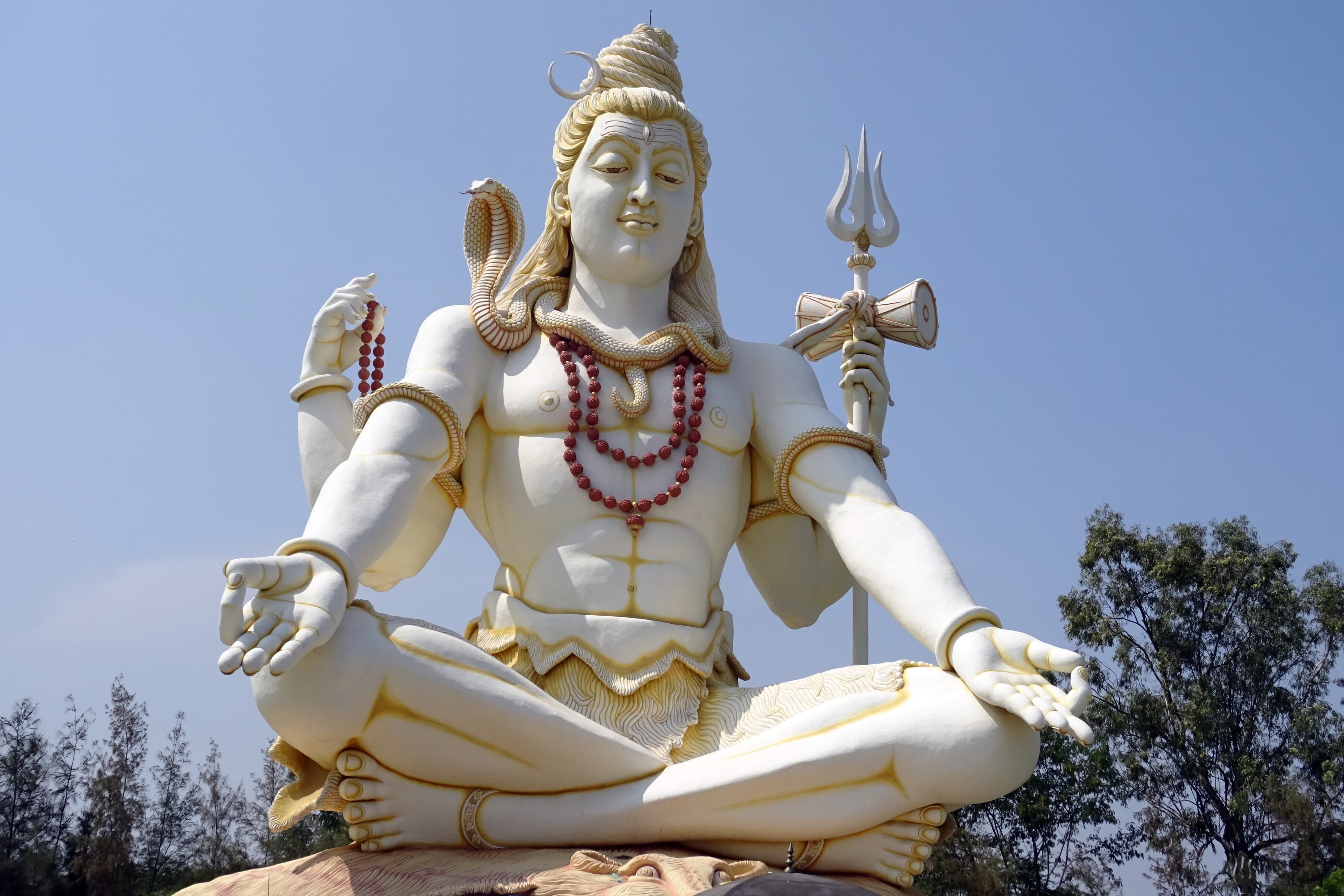Rudraksha refered to as the rudra eye
