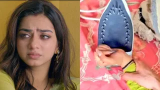 TV Show Mahadev And Sons Faces Backlash For Allegedly Romanticising Domestic Abuse In Latest Episode | Video
