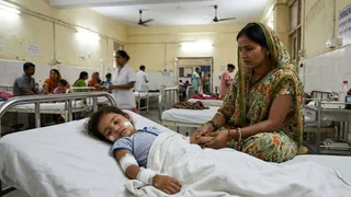 MP: Three-Year-Old Girl Mauled By Stray Dog, Gets 55 Stitches; Residents Slam Administration As Cases Surge
