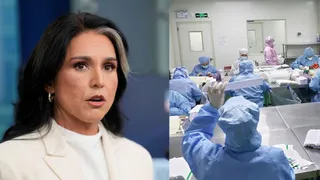 US Scientist Behind Wuhan Lab Research Linked To COVID? Tulsi Gabbard Drops Explosive Files
