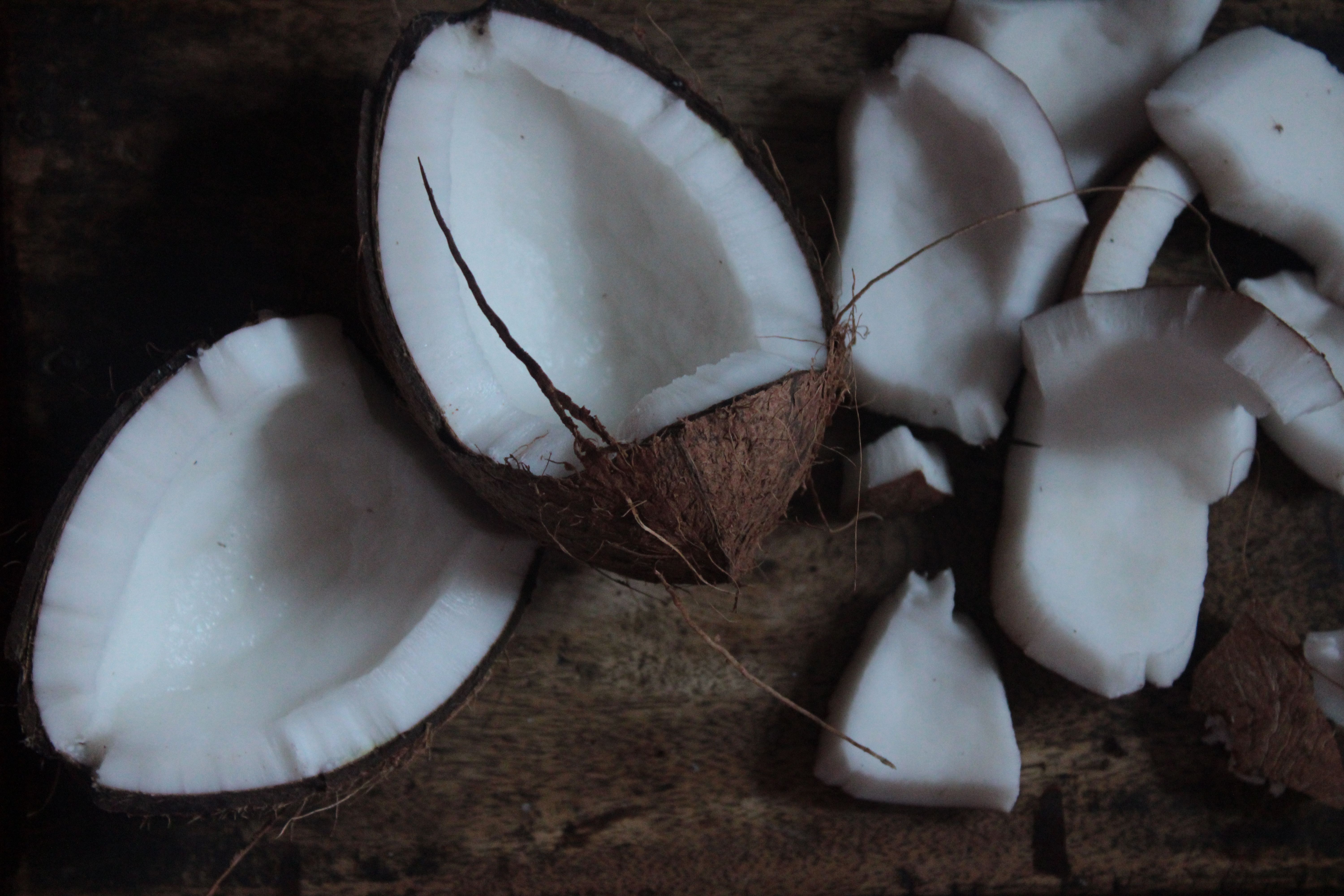 cocunyut breaking