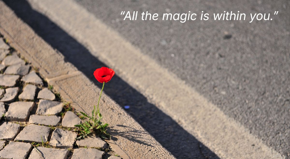 july quote