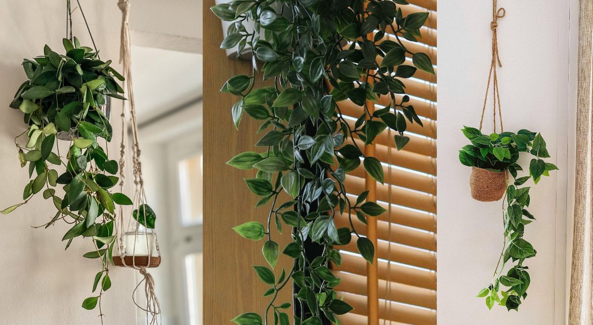 Multi-Level Hanging System