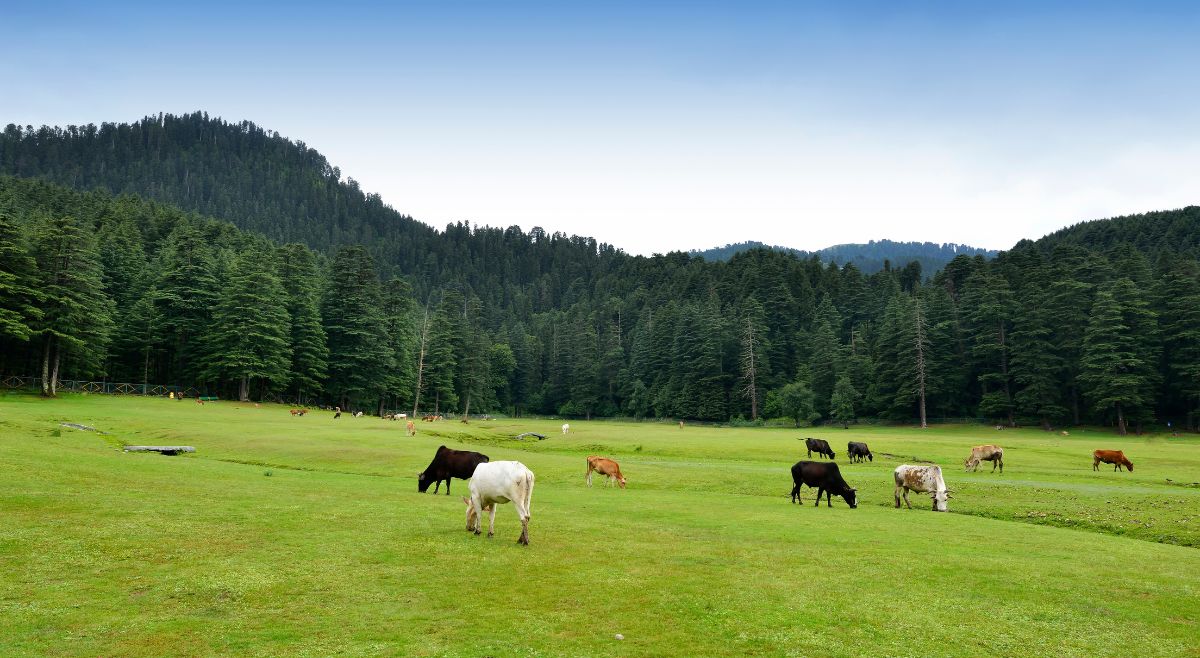 Khajjiar