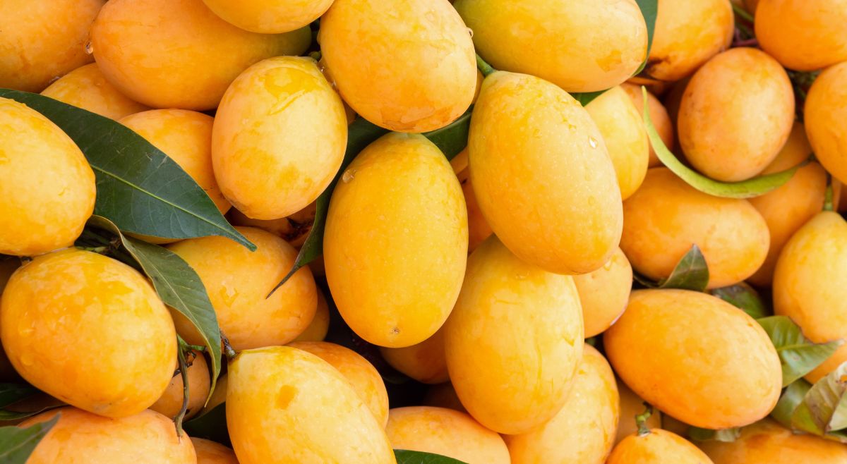 King of Fruits