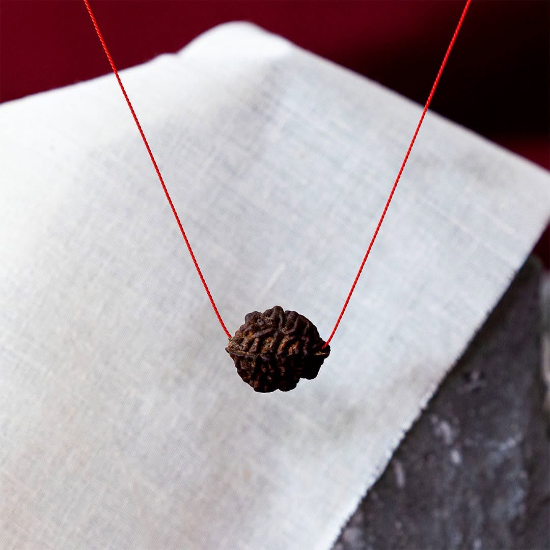 2 mukhi