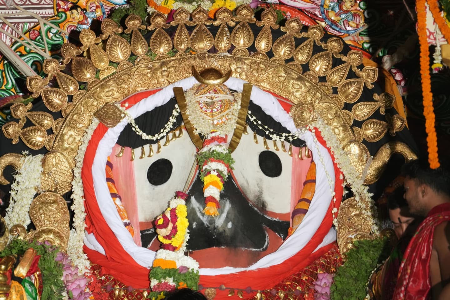 suna besha