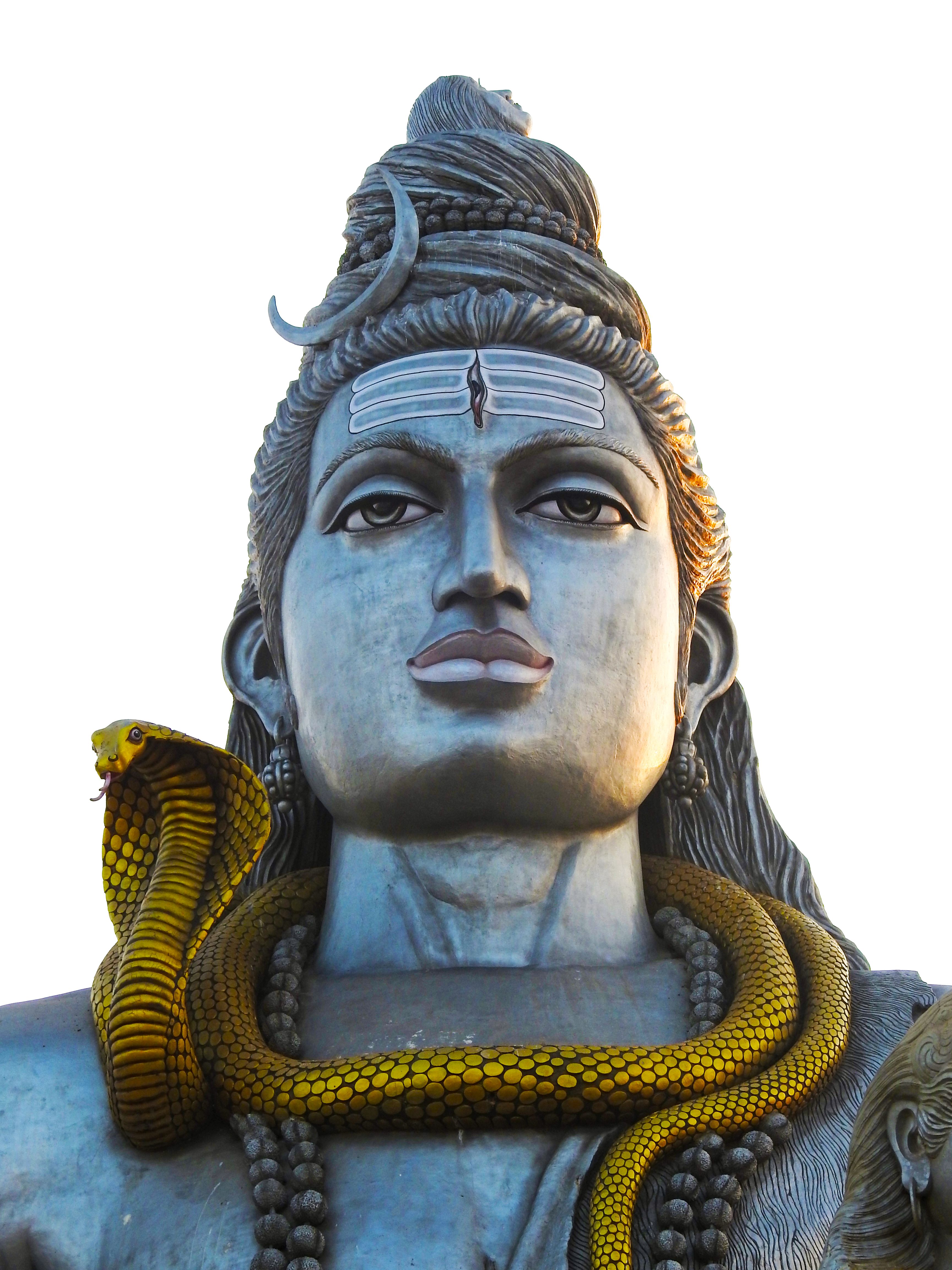 vasuki