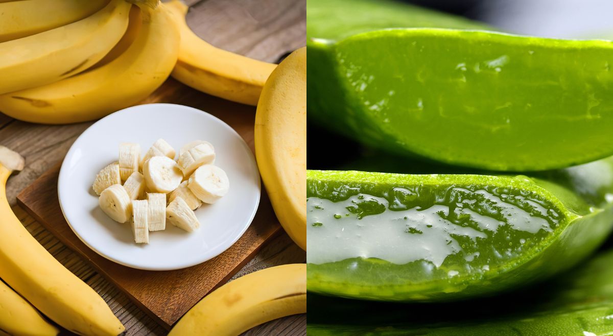 banana And Aloe Vera Conditioner
