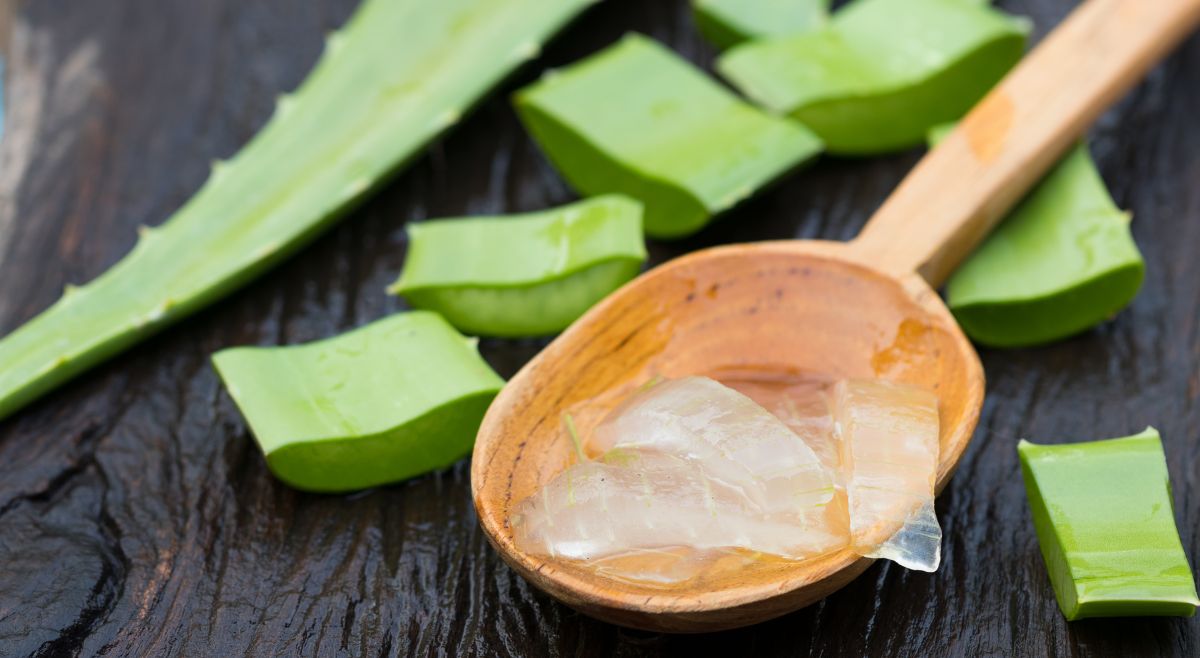 aloe vera for hair
