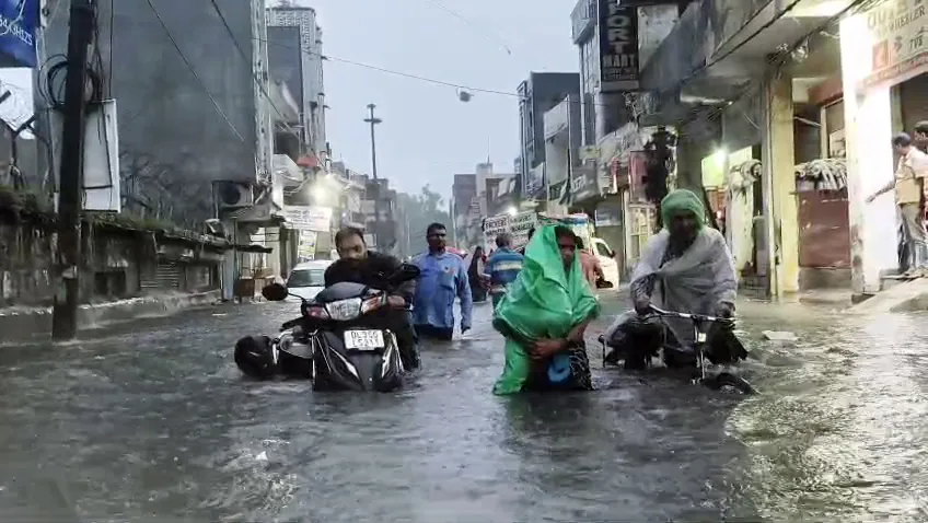 waterlog ani