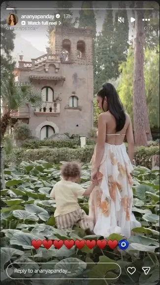 Ananya Panday instagram story