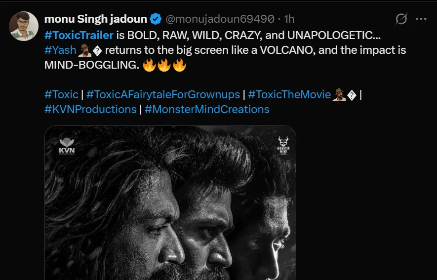 Yash Toxic review