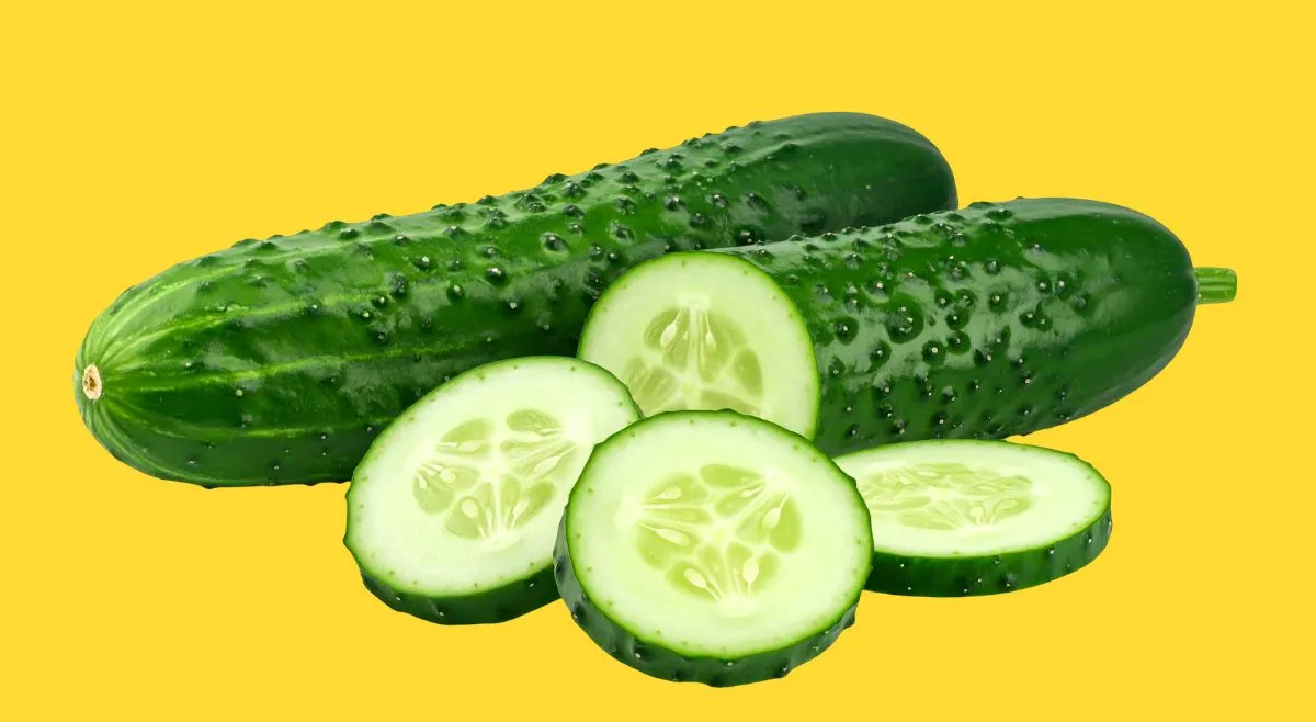 cucumber