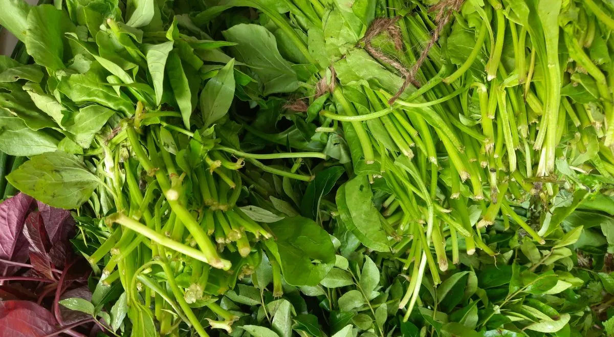 leafy vegetable