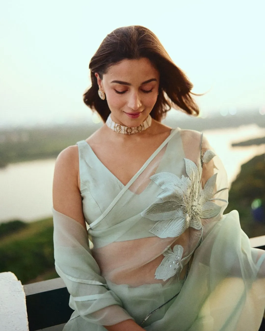 Olive Green saree
