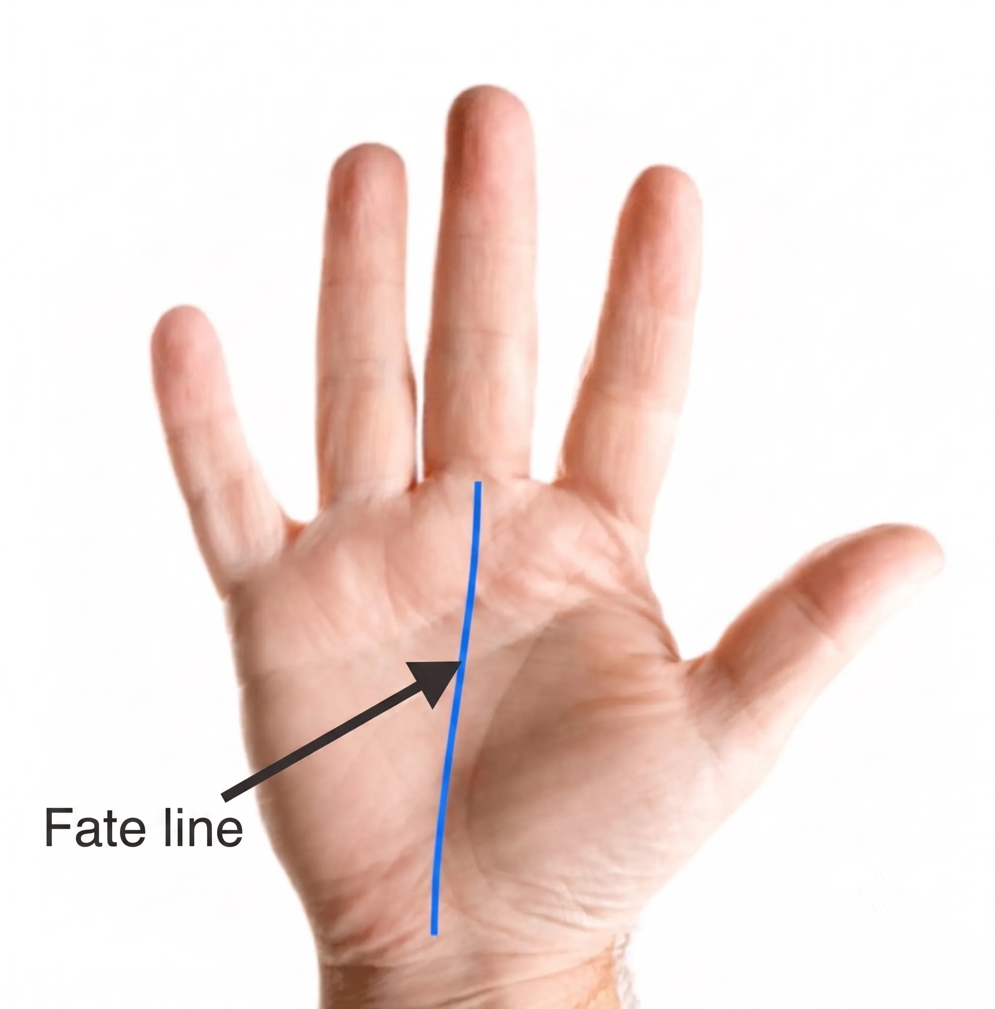 fate line